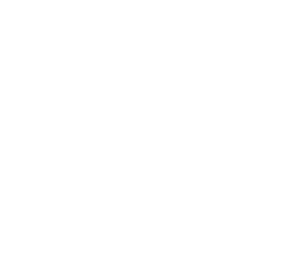 Flugforensik